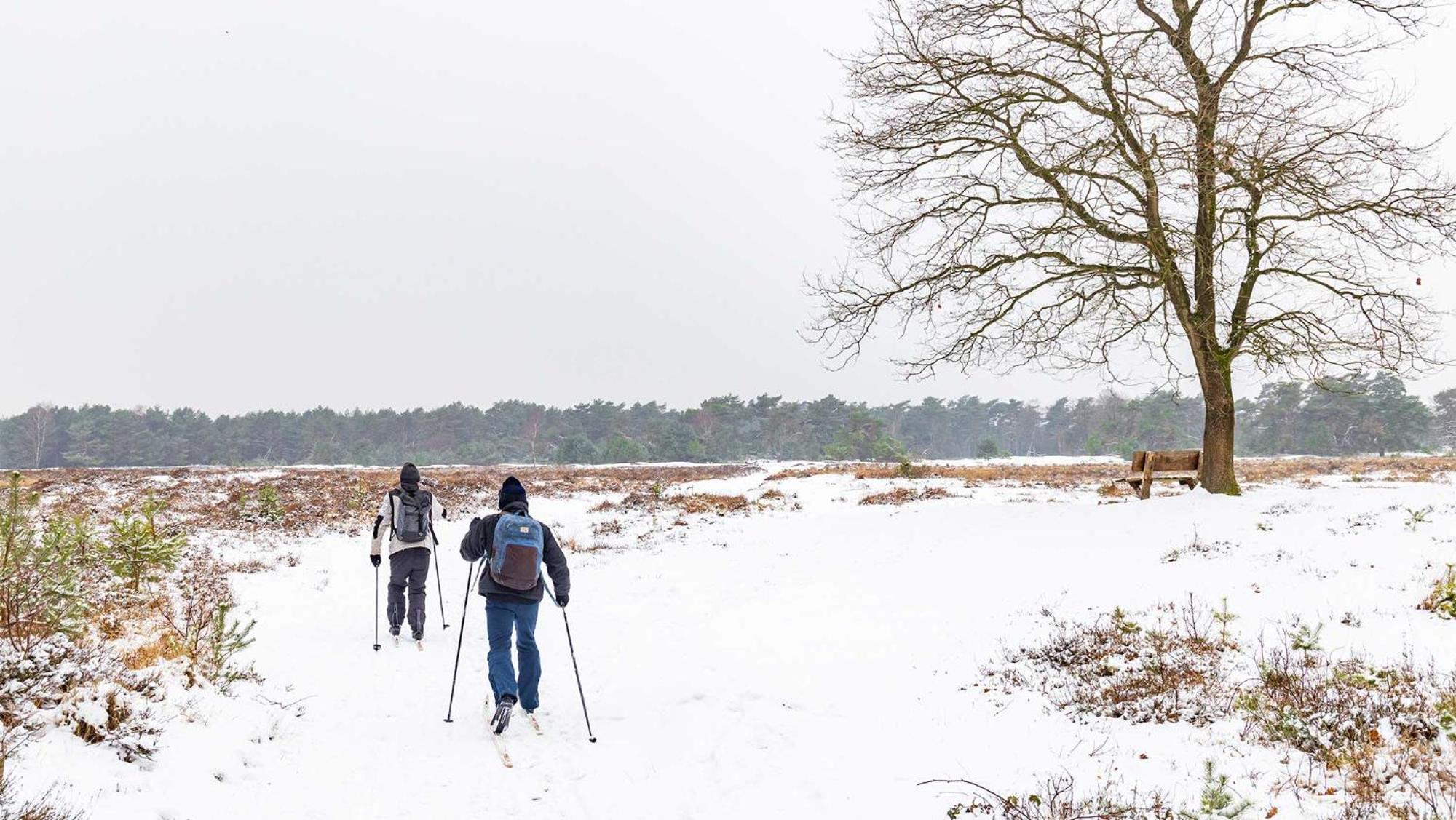 Aldeamento Turístico Molecaten Park Landgoed Ginkelduin