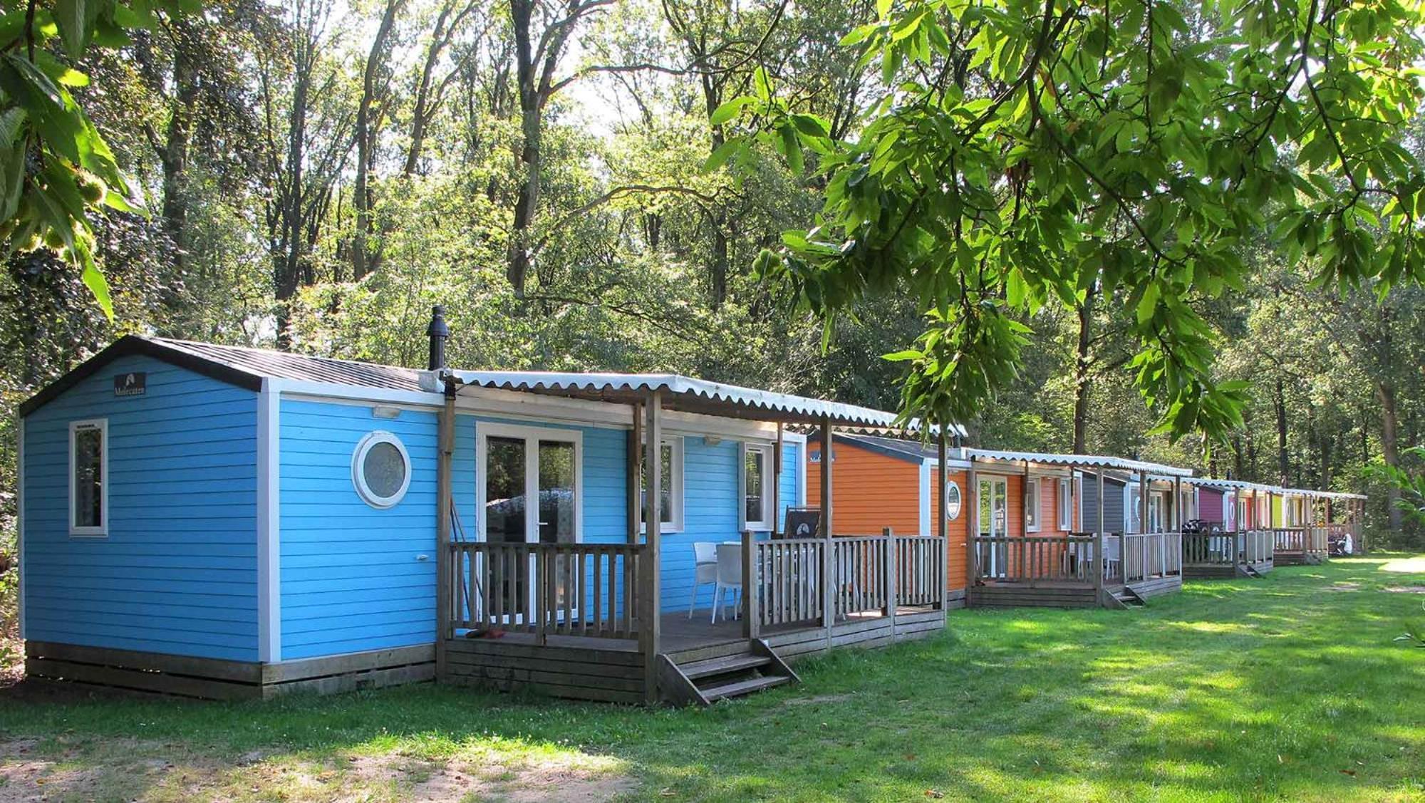 Molecaten Park Landgoed Ginkelduin Aldeamento Turístico