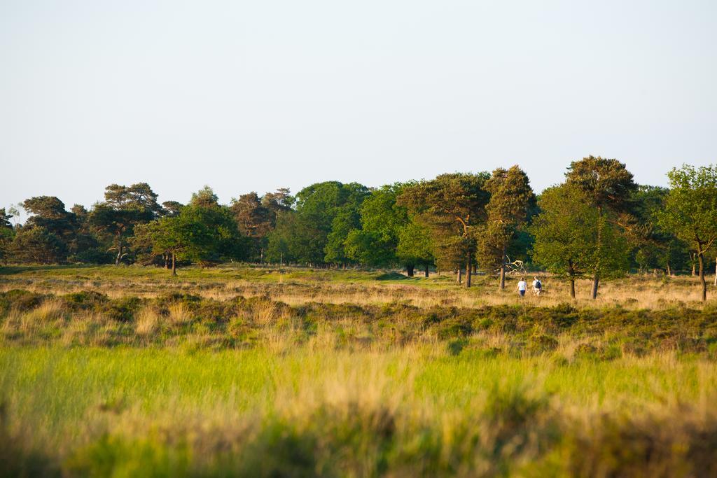 Aldeamento Turístico Molecaten Park Landgoed Ginkelduin