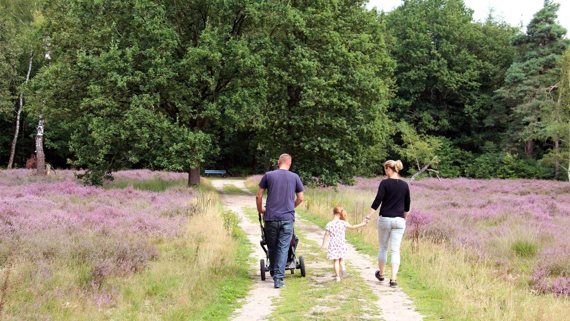 Parco vacanze Molecaten Park Landgoed Ginkelduin *