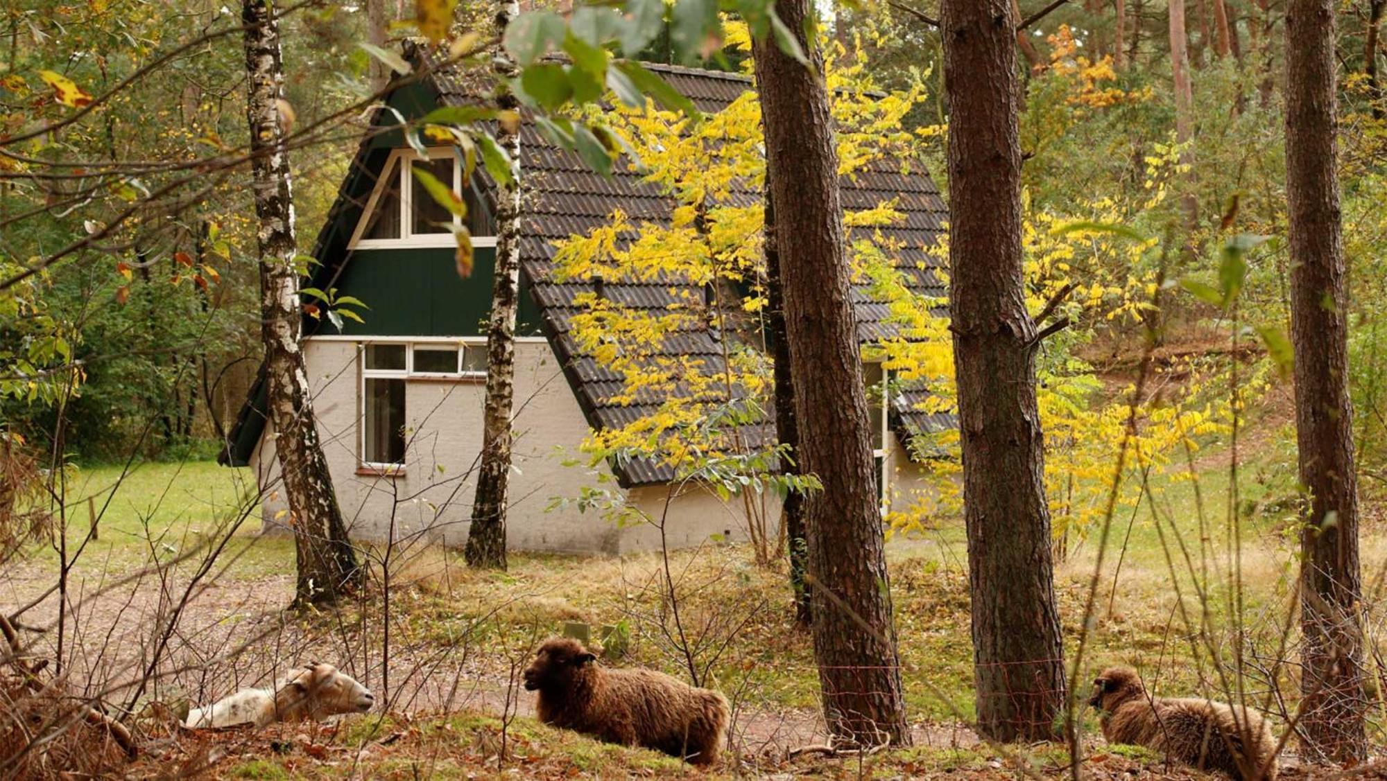 Parco vacanze Molecaten Park Landgoed Ginkelduin Leersum