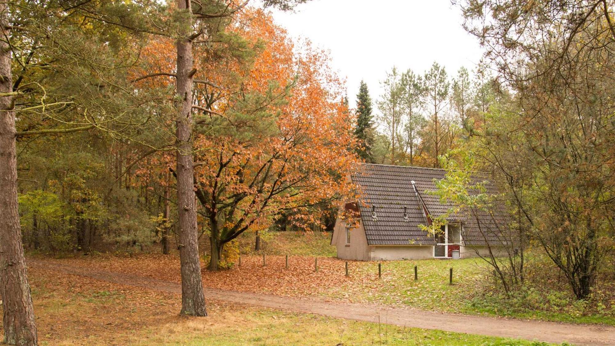 Molecaten Park Landgoed Ginkelduin Parco vacanze *