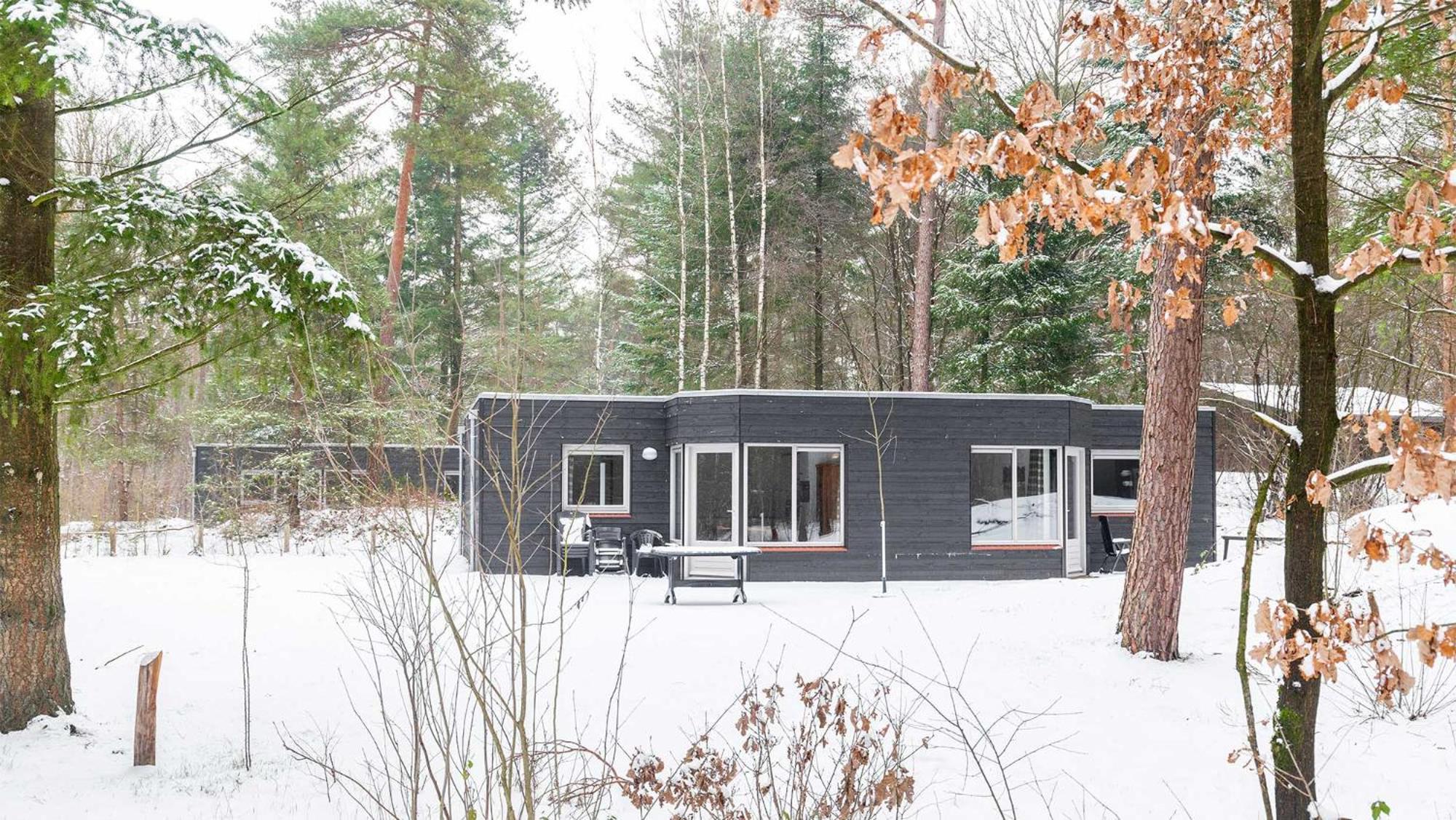 Parco vacanze Molecaten Park Landgoed Ginkelduin Leersum